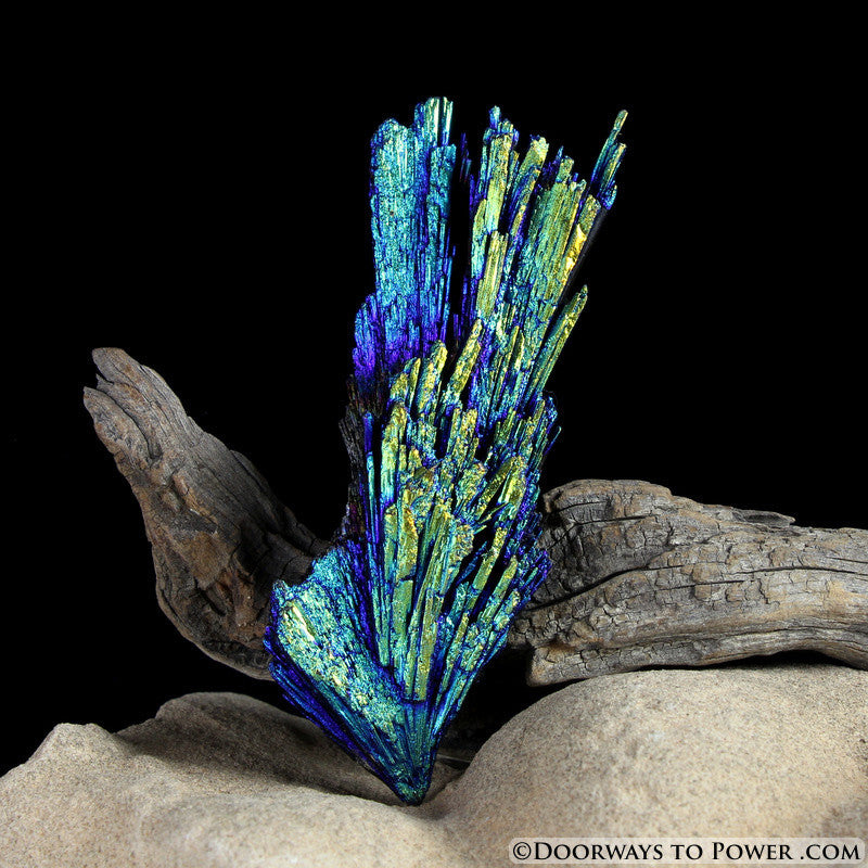 Aqua Aura Black Kyanite Angel Wing Crystal BKA-5