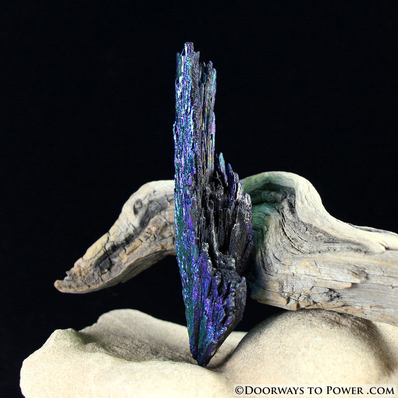 Aqua Aura Black Kyanite Angel Wing Crystal BKA-5