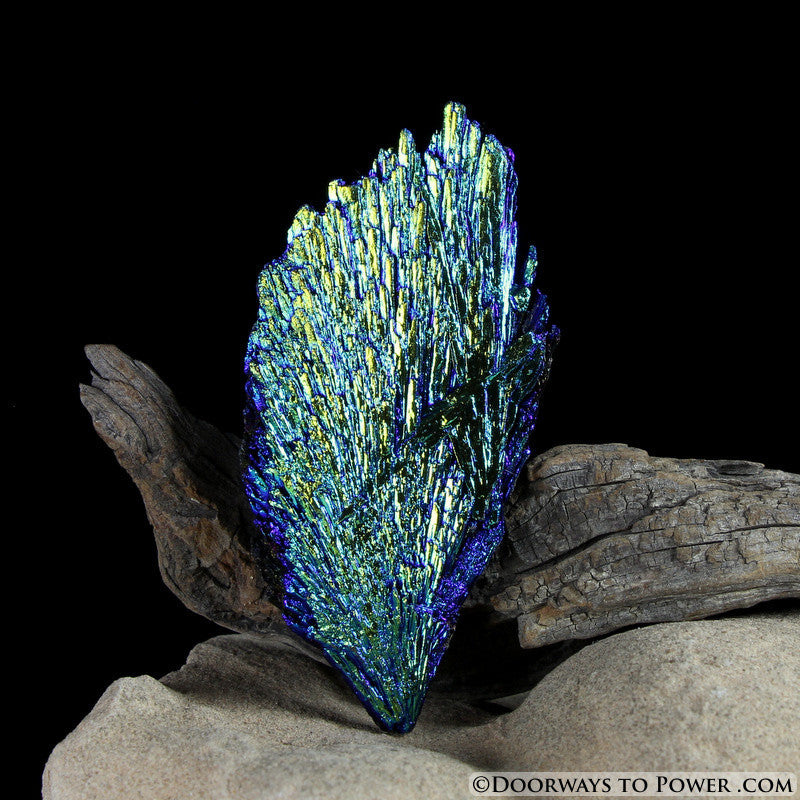 Rare Aqua Aura Black Kyanite Crystal Angel Wing