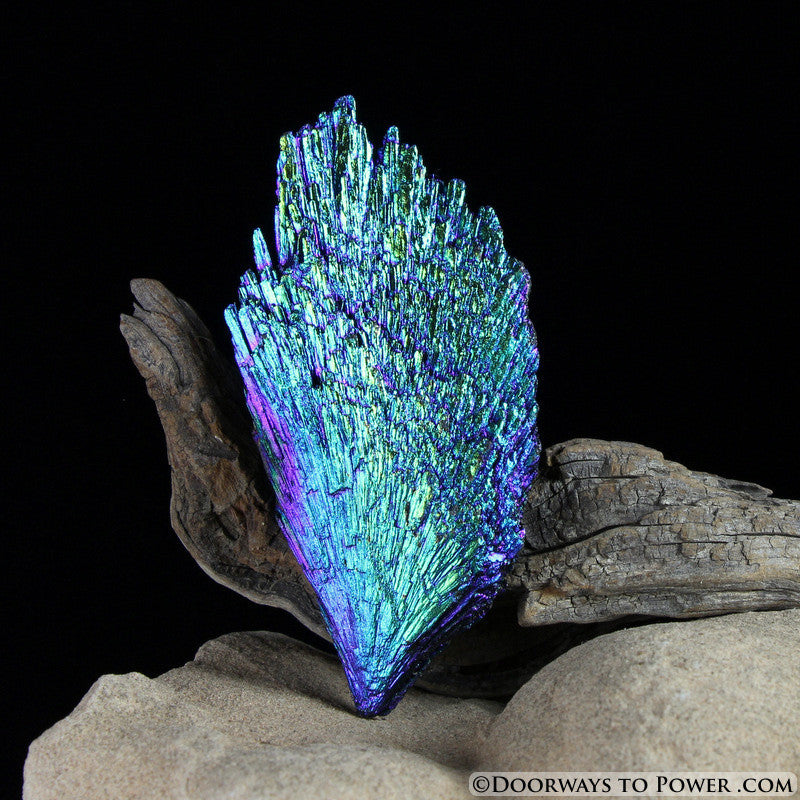 Rare Aqua Aura Black Kyanite Crystal Angel Wing