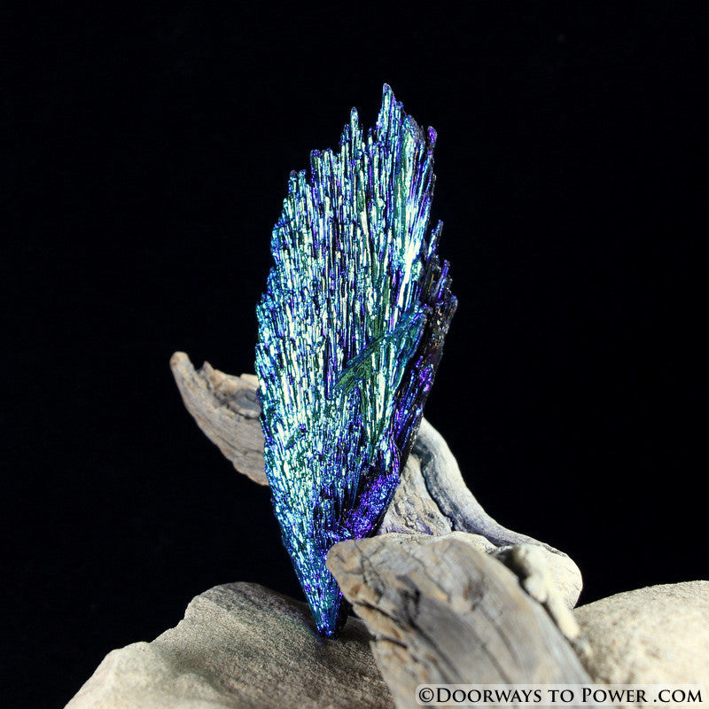 Rare Aqua Aura Black Kyanite Crystal Angel Wing