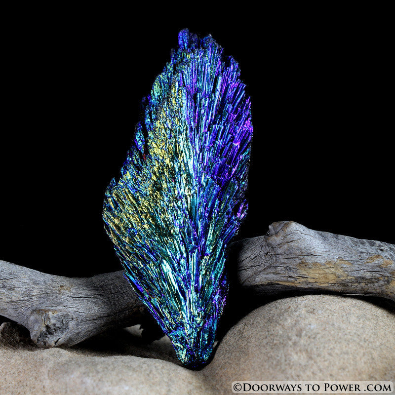 Beautiful Aqua Aura Black Kyanite Crystal