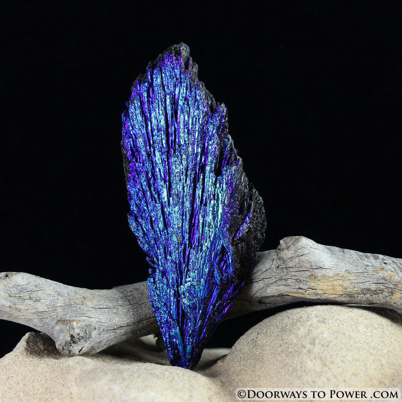 Beautiful Aqua Aura Black Kyanite Crystal