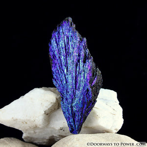 Beautiful Aqua Aura Black Kyanite Crystal