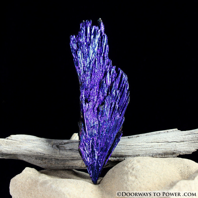 Powerful Aqua Aura Black Kyanite Crystal A +++