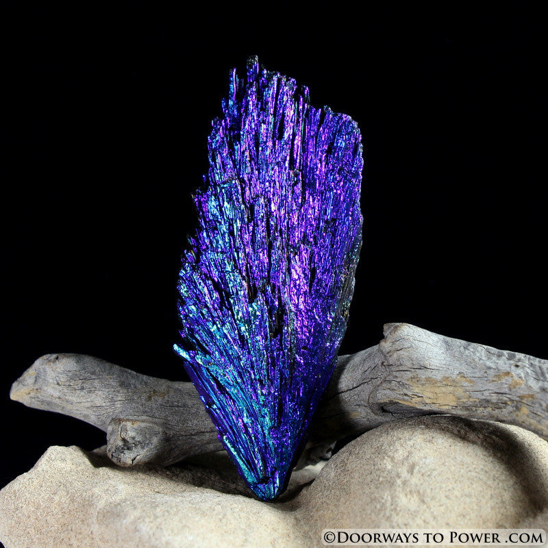 Black Kyanite Peacock Aura Crystal A +++