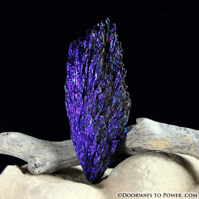Black Kyanite Peacock Aura Crystal A +++