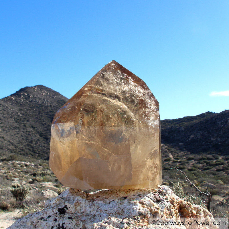 John of God Quartz Citrine Casa Crystal Point