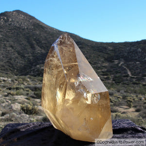 Citrine Crystal Point Abundance Stone