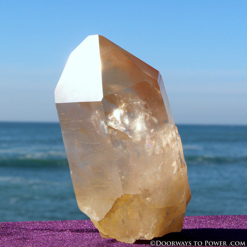 XL Pink Seed Lemurian Crystal Point "Wisdom of Ancient Lemuria" Starbrary RESERVED for MT