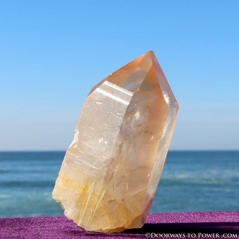XL Pink Seed Lemurian Crystal Point "Wisdom of Ancient Lemuria" Starbrary RESERVED for MT
