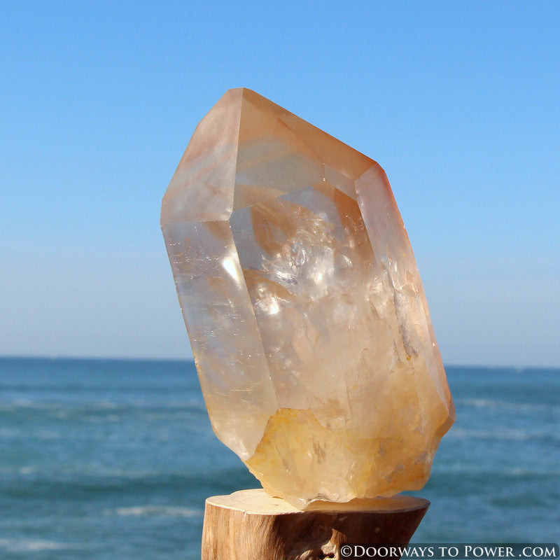 XL Pink Seed Lemurian Crystal Point "Wisdom of Ancient Lemuria" Starbrary RESERVED for MT