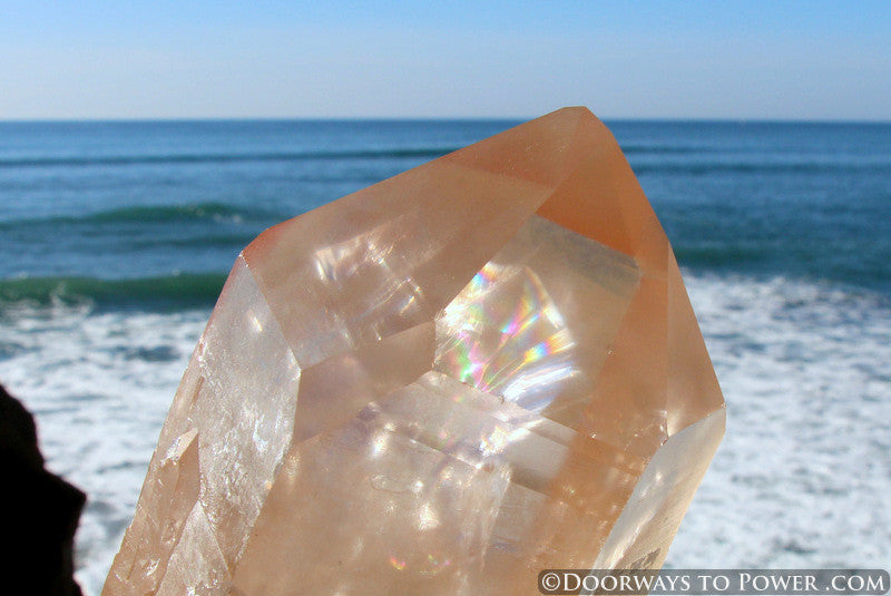 XL Pink Seed Lemurian Crystal Point "Wisdom of Ancient Lemuria" Starbrary RESERVED for MT