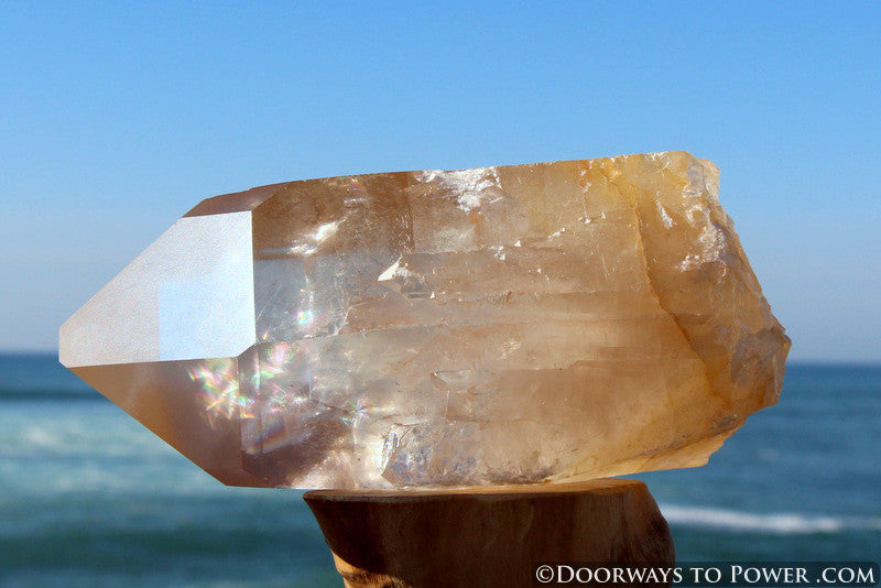 XL Pink Seed Lemurian Crystal Point "Wisdom of Ancient Lemuria" Starbrary RESERVED for MT
