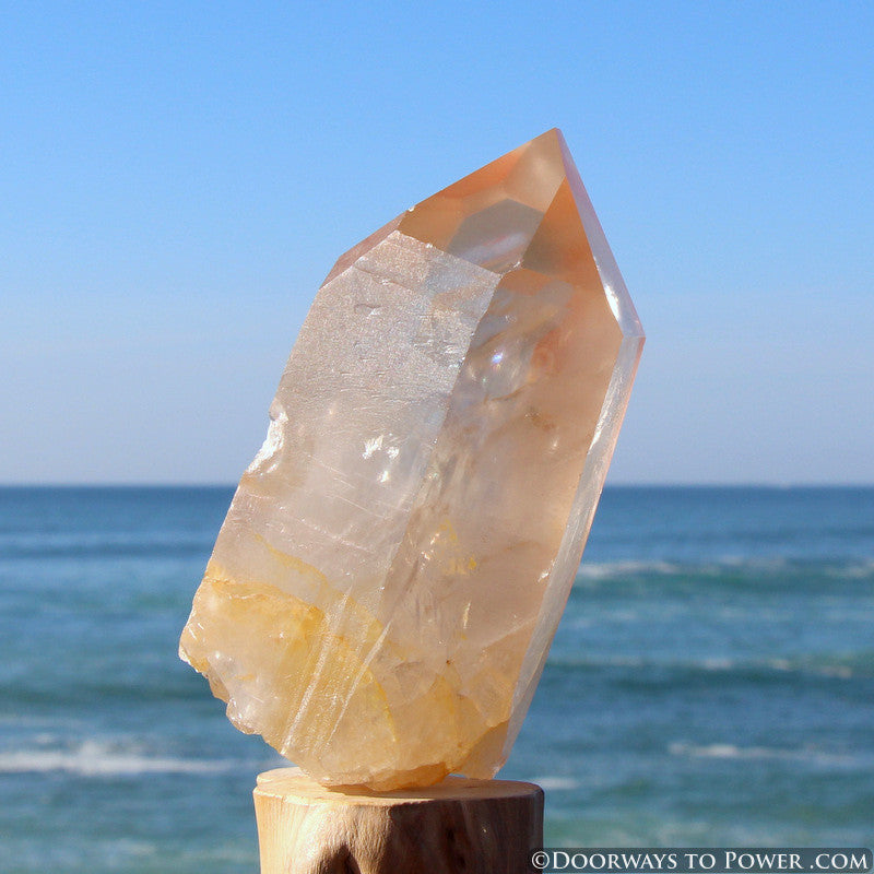 XL Pink Seed Lemurian Crystal Point "Wisdom of Ancient Lemuria" Starbrary RESERVED for MT