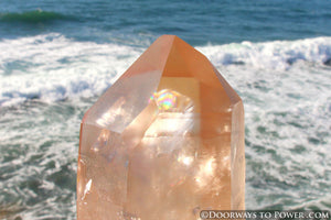 XL Pink Seed Lemurian Crystal Point "Wisdom of Ancient Lemuria" Starbrary RESERVED for MT