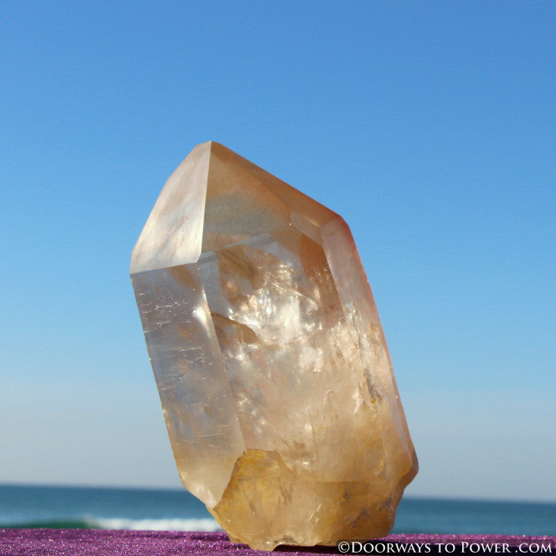XL Pink Seed Lemurian Crystal Point "Wisdom of Ancient Lemuria" Starbrary RESERVED for MT