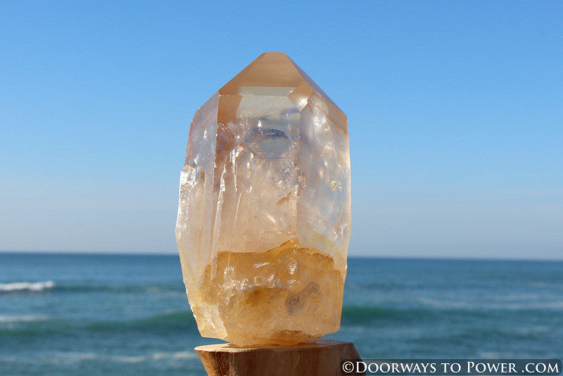 XL Pink Seed Lemurian Crystal Point "Wisdom of Ancient Lemuria" Starbrary RESERVED for MT