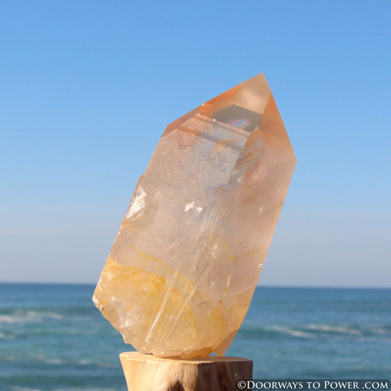 XL Pink Seed Lemurian Crystal Point "Wisdom of Ancient Lemuria" Starbrary RESERVED for MT
