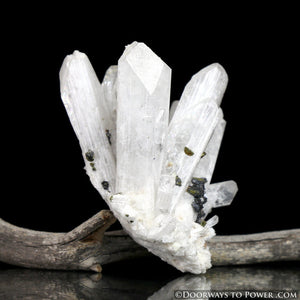 Danburite Synergy 12 Twin Crystal Cluster w/ Pyrite "Higher Octave"