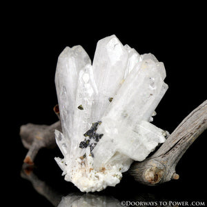 Danburite Synergy 12 Twin Crystal Cluster w/ Pyrite "Higher Octave"