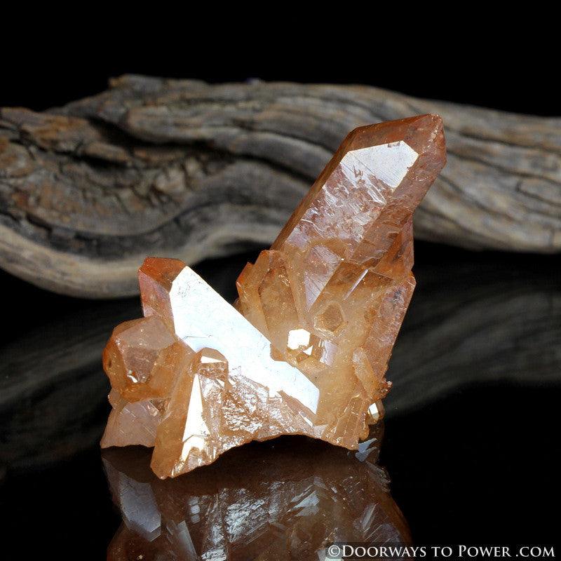 Tangerine Aura Starbrary Crystal Record Keeper Cluster