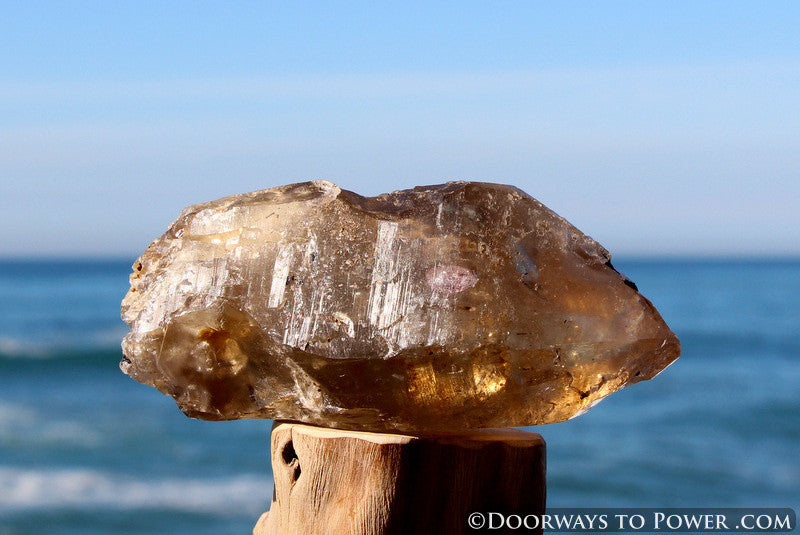 Golden Azeztulite Pleiadian Starbrary Crystal 5.1" RARE A ++++