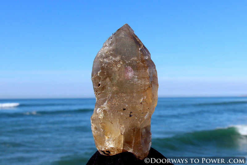 Golden Azeztulite Pleiadian Starbrary Crystal 5.1" RARE A ++++