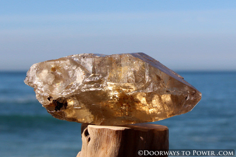 Golden Azeztulite Pleiadian Starbrary Crystal 5.1" RARE A ++++