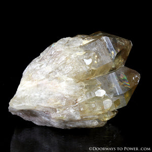 Rare 3" Natural Citrine Lightbrary Kundalini Quartz Dow Crystal Cluster
