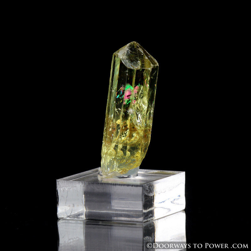 Yellow Golden Apatite Crystal Gemstone Specimen Terminated A +++