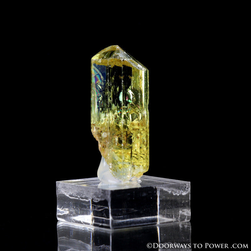 Yellow Golden Apatite Crystal Gemstone Specimen Terminated A +++
