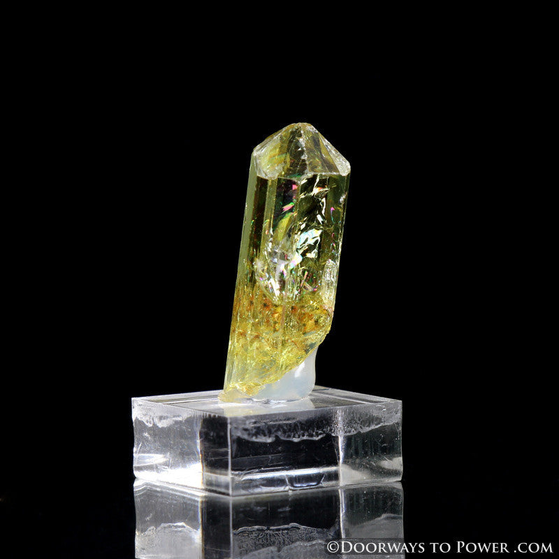 Yellow Golden Apatite Crystal Gemstone Specimen Terminated A +++