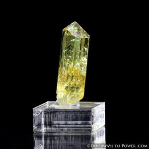 Yellow Golden Apatite Crystal Gemstone Specimen Terminated A +++