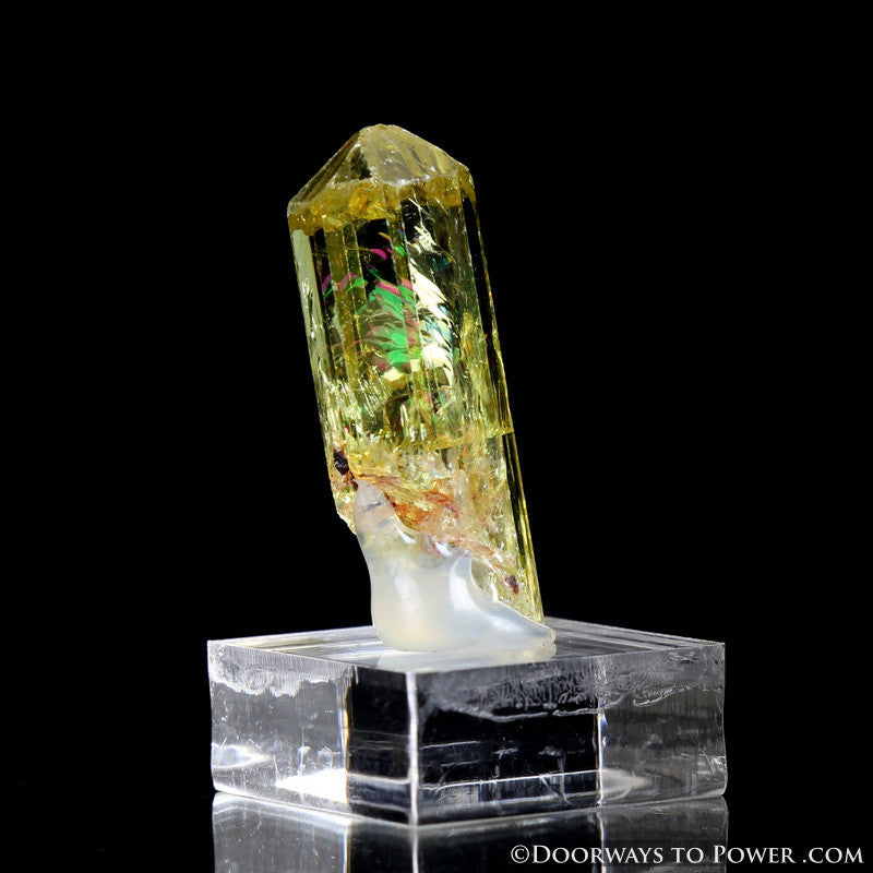 Yellow Golden Apatite Crystal Gemstone Specimen Terminated A +++