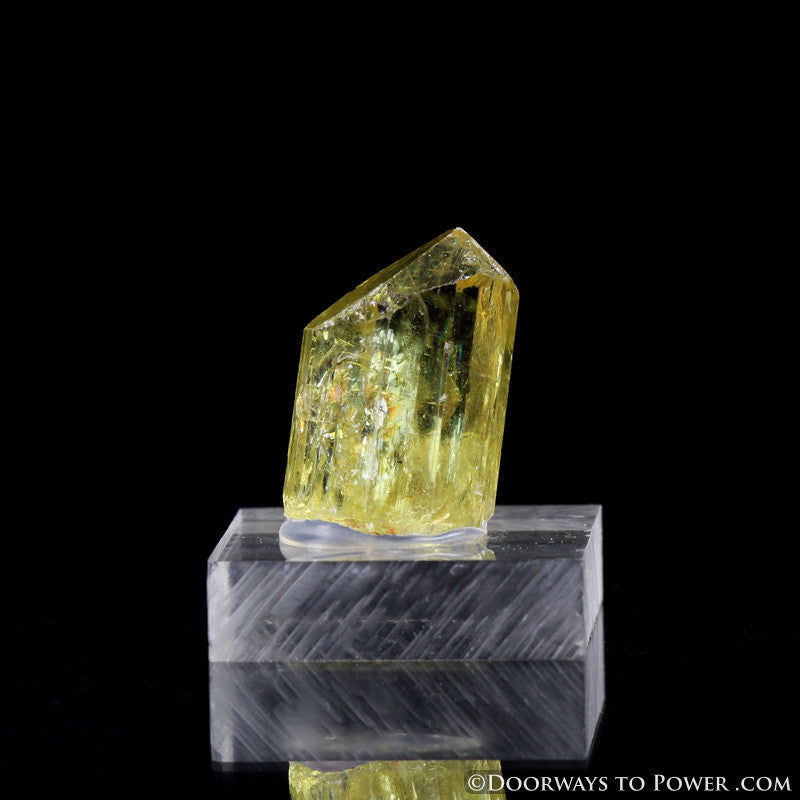 Yellow Golden Apatite Crystal Gemstone Specimen Terminated