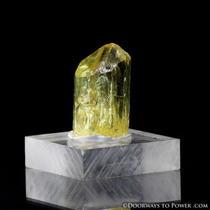 Yellow Golden Apatite Crystal Gemstone Specimen Terminated