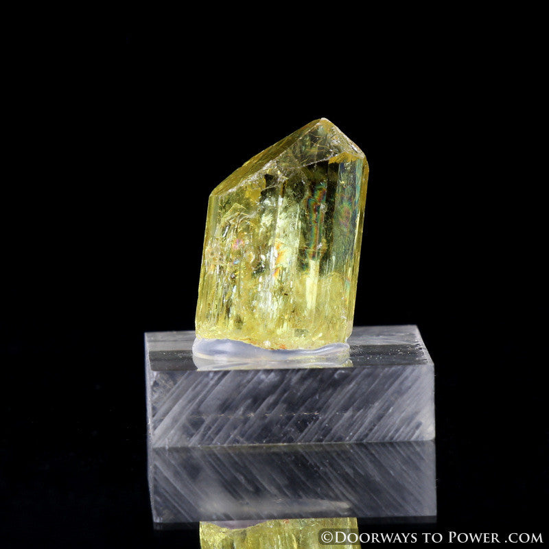 Yellow Golden Apatite Crystal Gemstone Specimen Terminated
