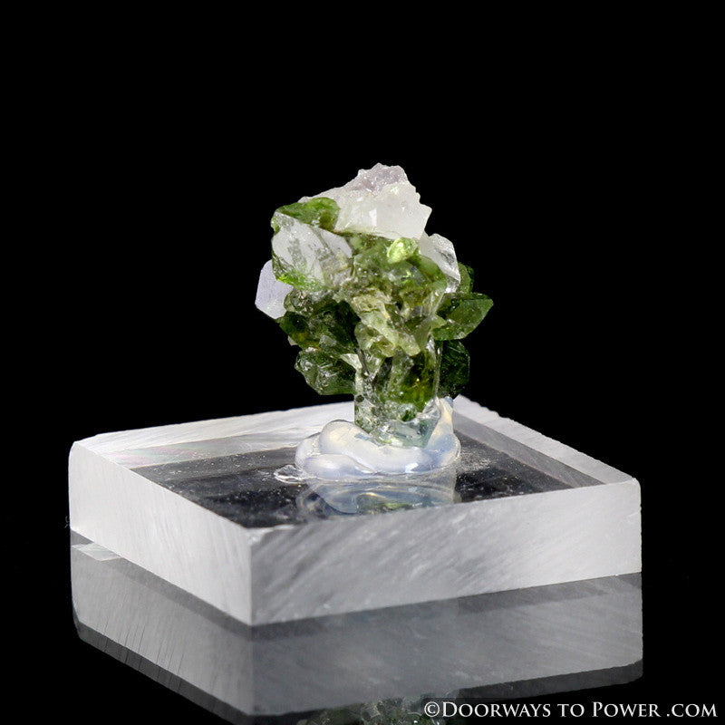 Uvite Tourmaline on Magnesite Specimen A +++