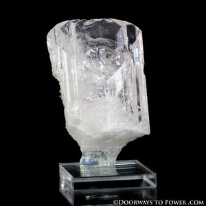 Danburite Pleiadian Starbrary Crystal Specimen A +++