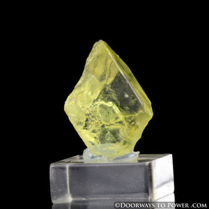 Rare Royal Yellow SANIDINE Specimen Record Keeper Abundance Crystal