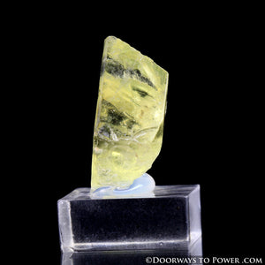 Rare Royal Yellow SANIDINE Specimen Record Keeper Abundance Crystal