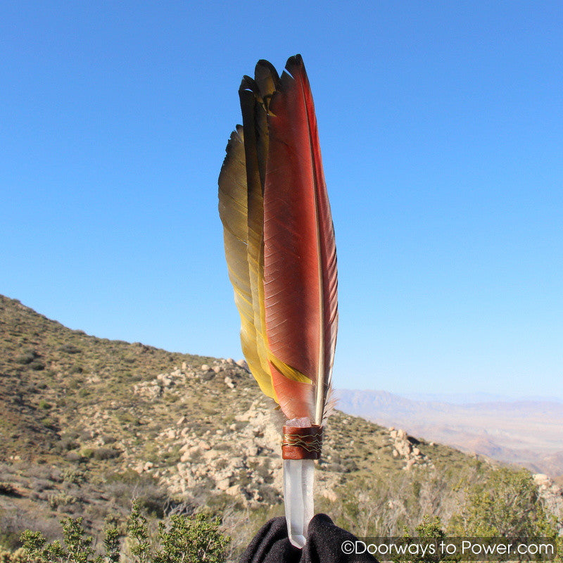 Blue Macaw Smudge Fan w/ Pleiadian Starbrary Record Keeper Crystal 13.5"