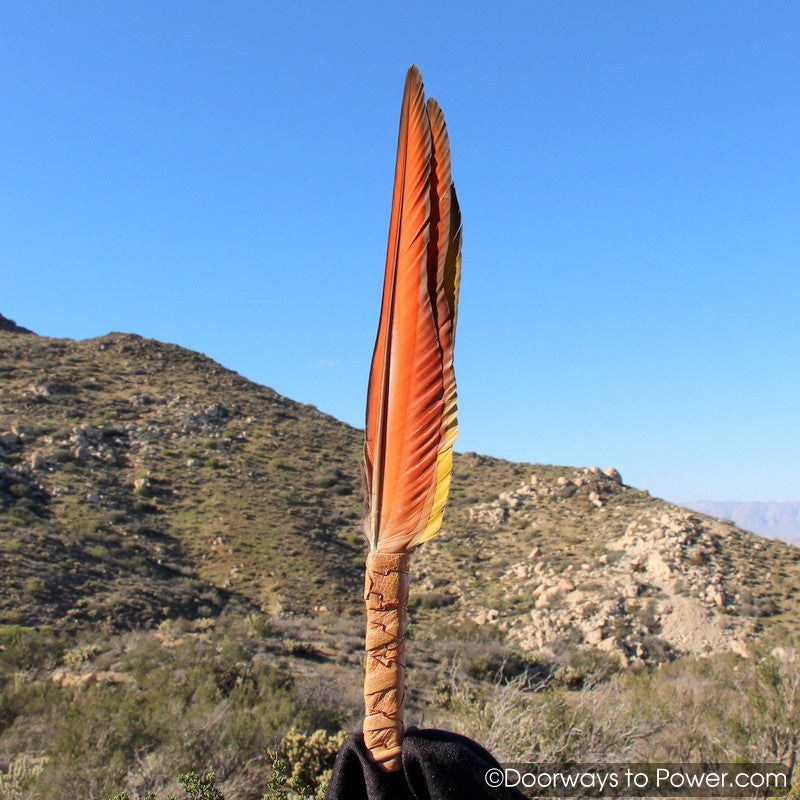 Blue Macaw Smudge Fan Diamantina Laser Wand Crystal 15.5"