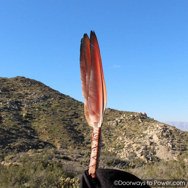 Blue Macaw Energy Smudge Fan w/ Kyanite Crystal 15.5"