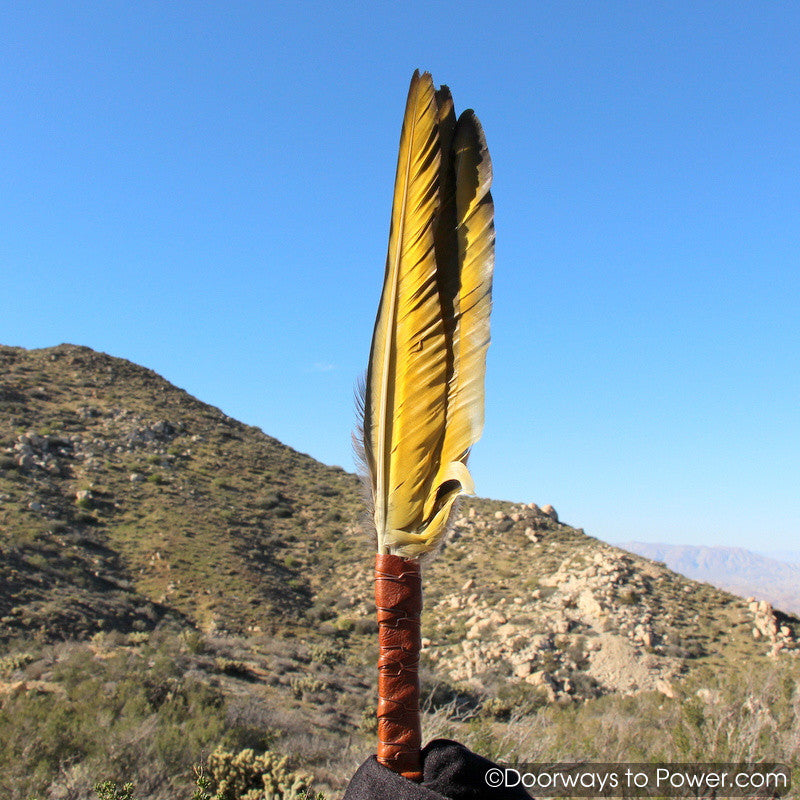 Blue Macaw Smudge Fan John of God Casa Healing Crystal 15"