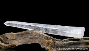Diamantina Laser Wand 'GALACTIC' Star Seed Quartz Pleiadian Starbaray 5.25"