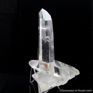 Colombian Lemurian Seed Pleiadian Starbrary Inner Child Crystal