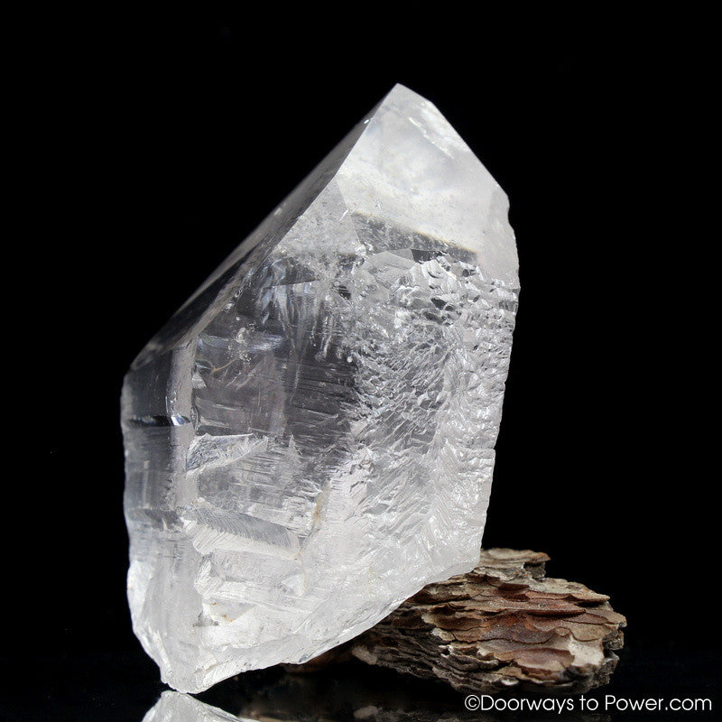 RARE Nirvana Quartz Crystal Point Pleiadian Starbrary Record Keeper