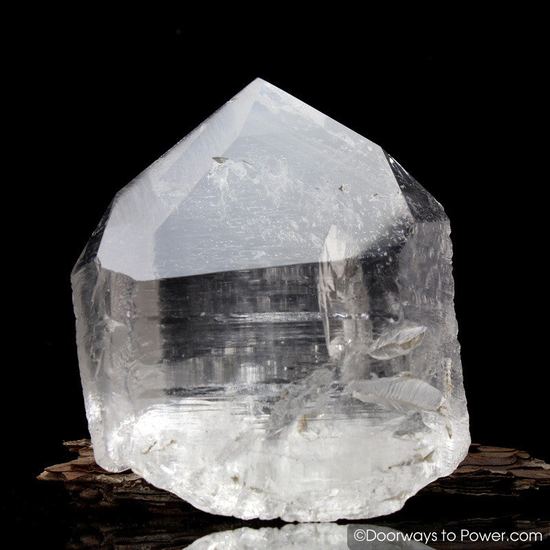 RARE Nirvana Quartz Crystal Point Pleiadian Starbrary Record Keeper